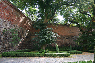Zamek Bierzgłowski