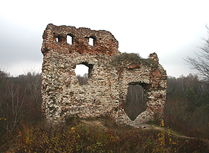 Zamek Bochotnica