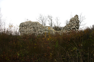 Zamek Bochotnica