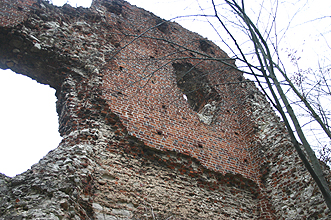 Zamek Bochotnica