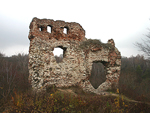 Bochotnica