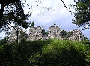 Zamek Bydlin