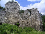 Zamek Bydlin
