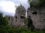 Zamek Bydlin