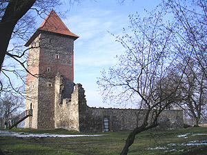 Zamek Chudów