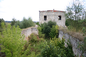 Zamek Ćmielów