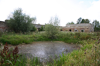 Zamek Ćmielów