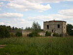 mielw