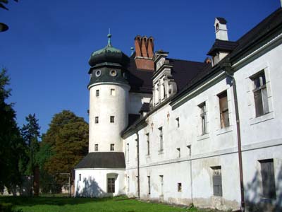 Zamek D±browa