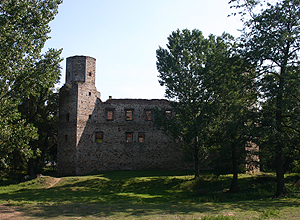 Zamek Drzewica