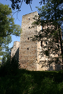 Zamek Drzewica