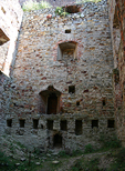 Zamek Drzewica