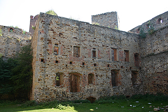 Zamek Drzewica