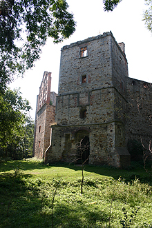 Zamek Drzewica