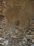 Zamek Drzewica