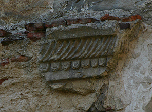 Zamek Drzewica