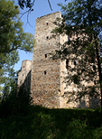 Zamek Drzewica
