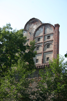 Zamek Drzewica