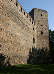 Zamek Drzewica