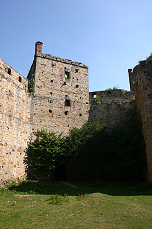 Zamek Drzewica