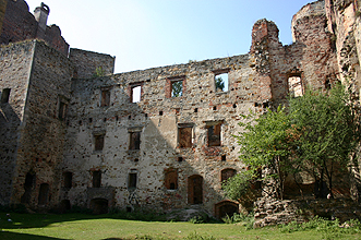 Zamek Drzewica