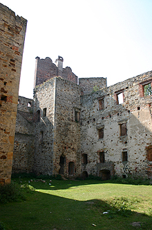Zamek Drzewica