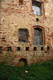 Zamek Drzewica