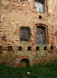Zamek Drzewica