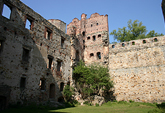 Zamek Drzewica