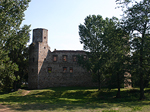 Drzewica