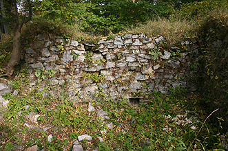 Zamek Karpień