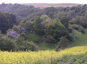 Zamek Kluczwoda