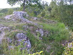Zamek Kluczwoda