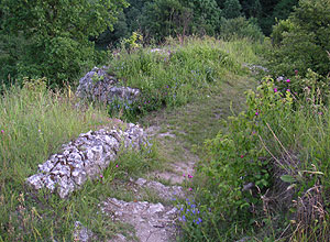 Zamek Kluczwoda