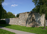 Zamek Kowalewo Pomorskie