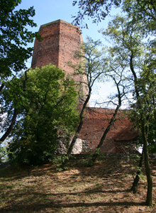 Zamek Kruszwica - Mysia wieża
