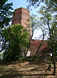 Zamek Kruszwica - Mysia wiea