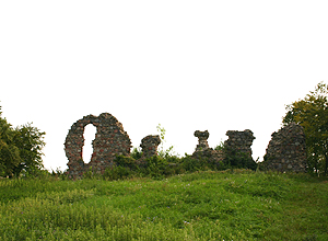Zamek Kurzętnik