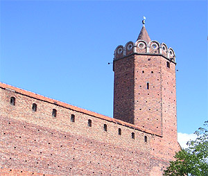 Zamek Rawa Łęczyca