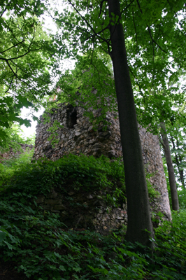 Zamek Lipa