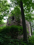 Zamek Lipa