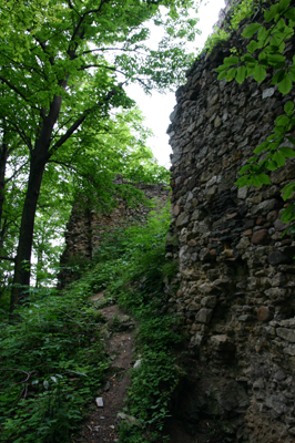 Zamek Lipa