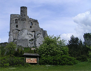 Zamek Mirów
