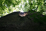 Zamek Niesytno