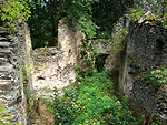 Zamek Niesytno