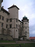 Zamek Nowy Winicz