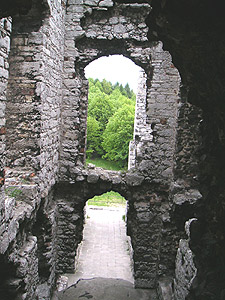 Zamek Ogrodzieniec