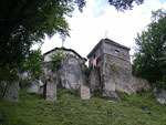 Zamek Ojcw