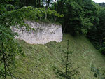 Zamek Ojcw
