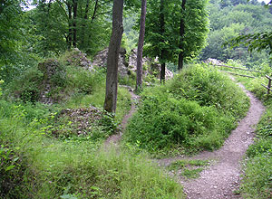 Zamek Ojców